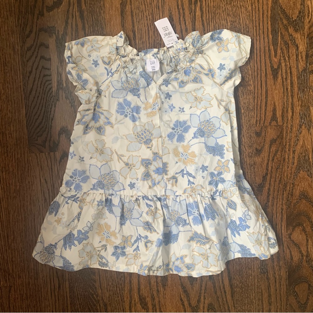 NWT Baby Gap Blue Cream Floral Dress | 2T